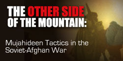 Other Side of the Mountain 250